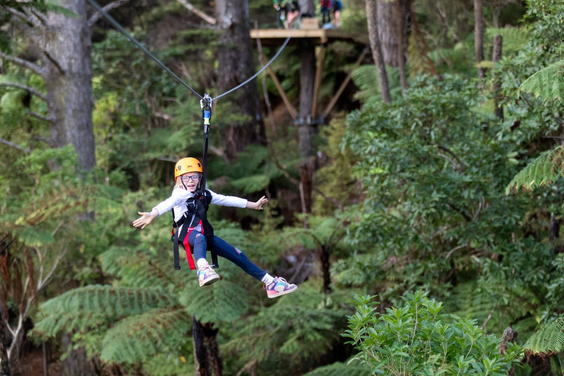 Coromandel Zipline