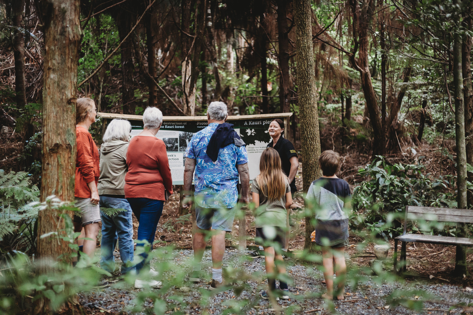Driving Creek Conservation Park