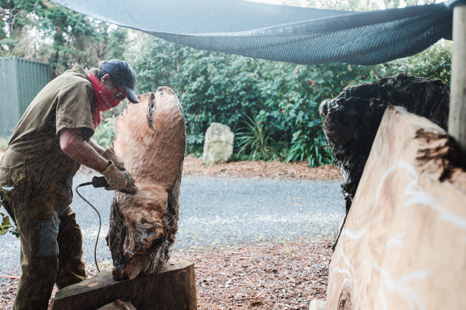 Kauri Cliff Gallery 8