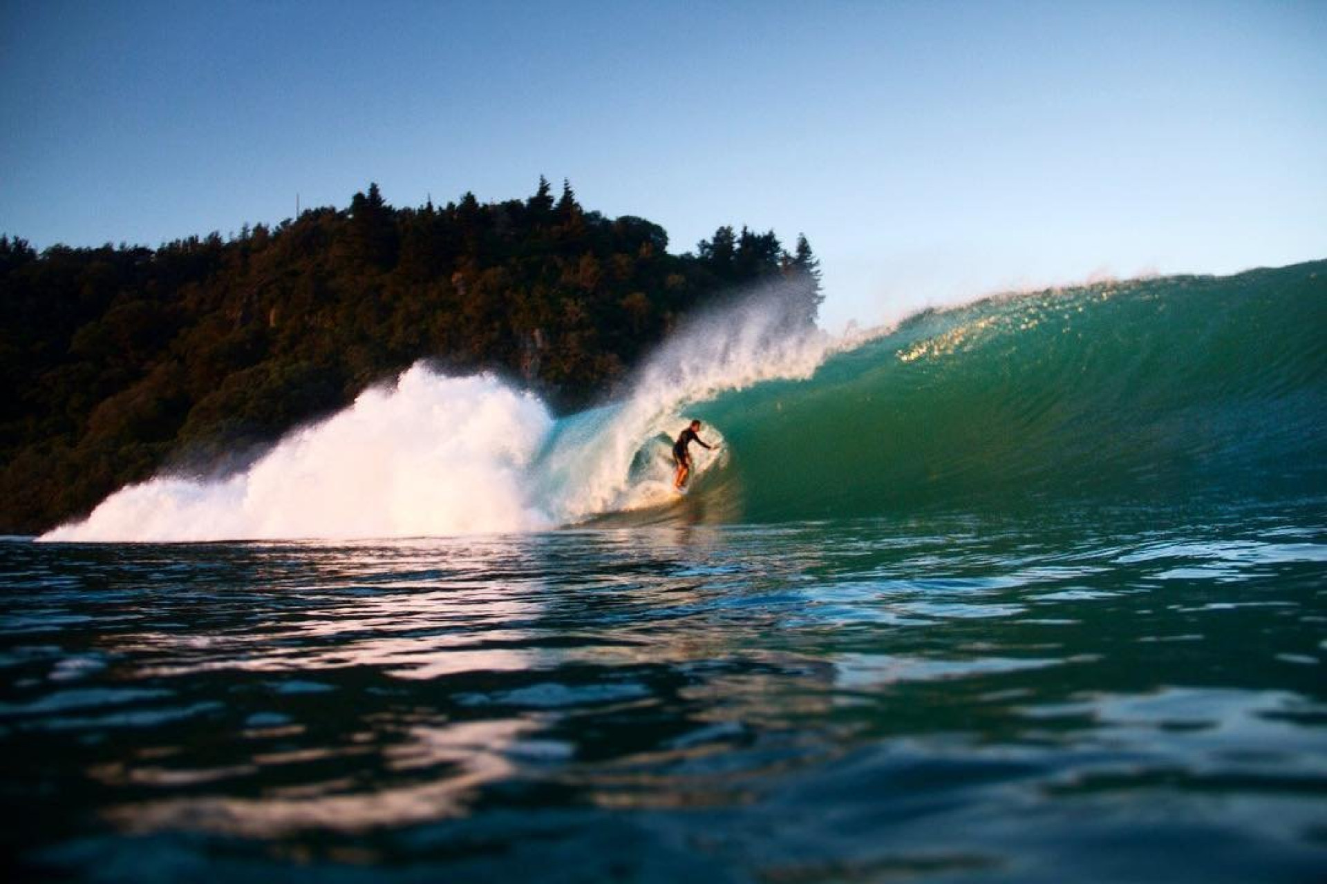 Surfing-B-Williams