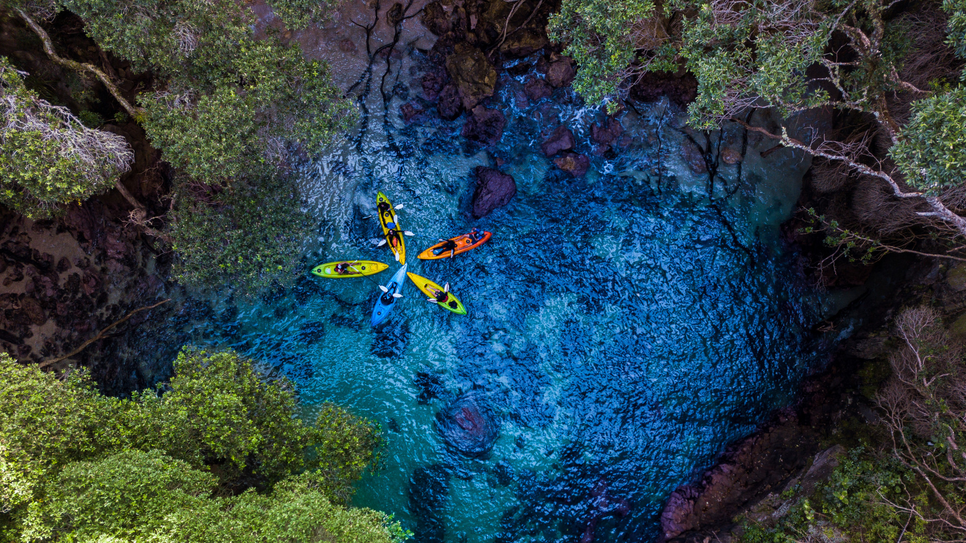 Whenuakura Island (Donut Island) Kayak Tour