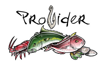 provider%20full%20logo%20copy