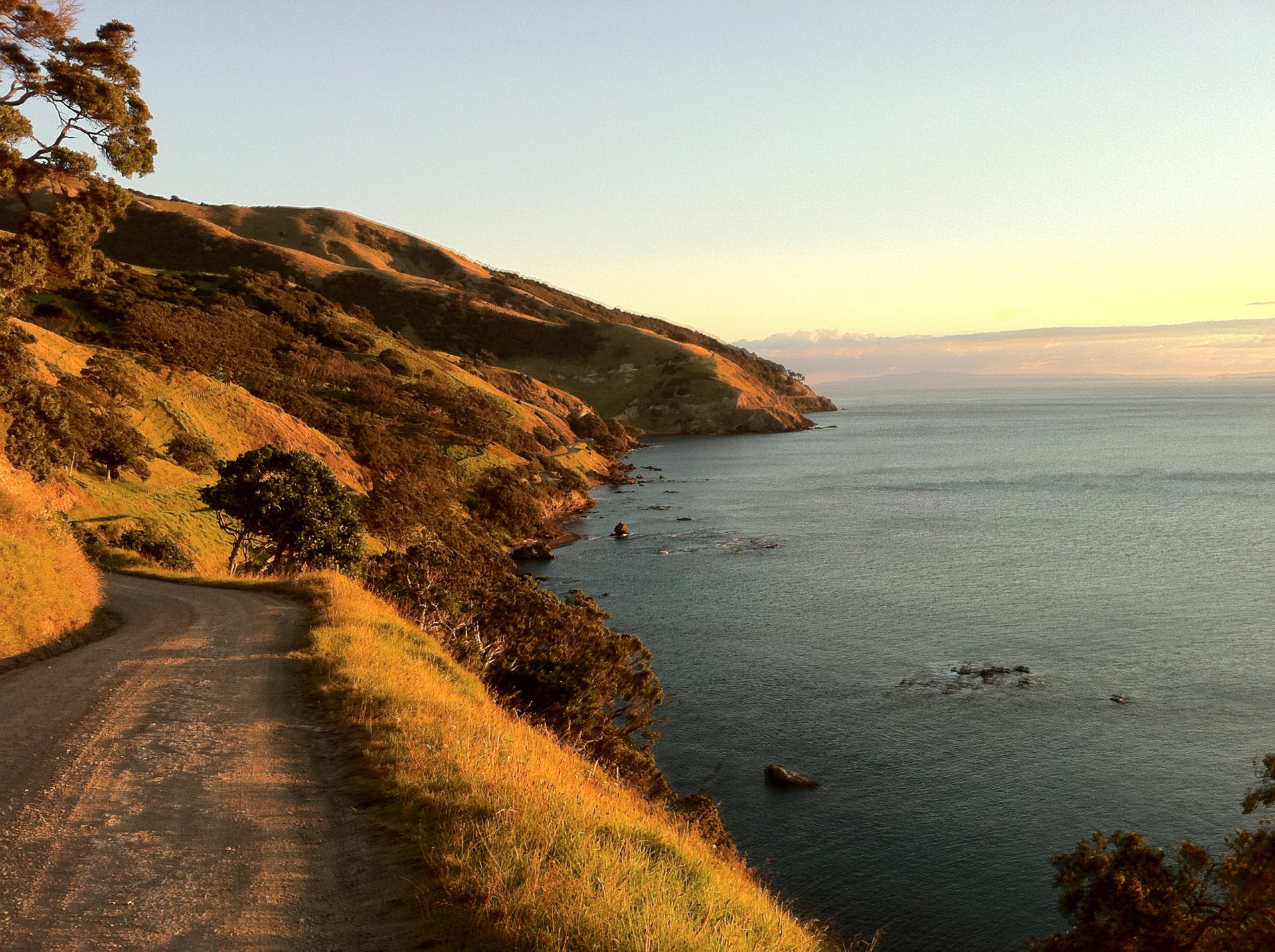 Coastal Road from Port Jackson to Coromandel Town2