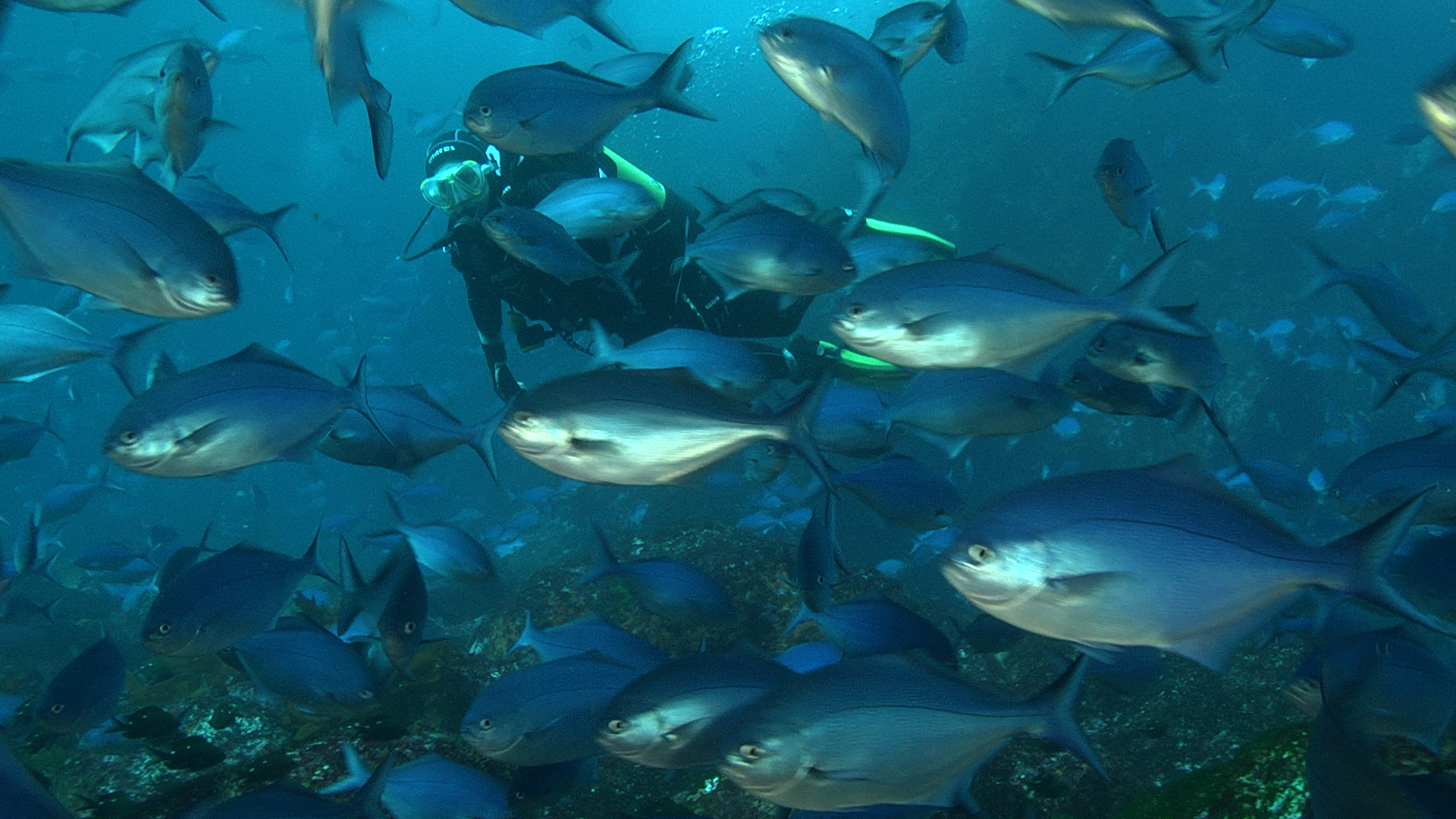 Dive Zone 3