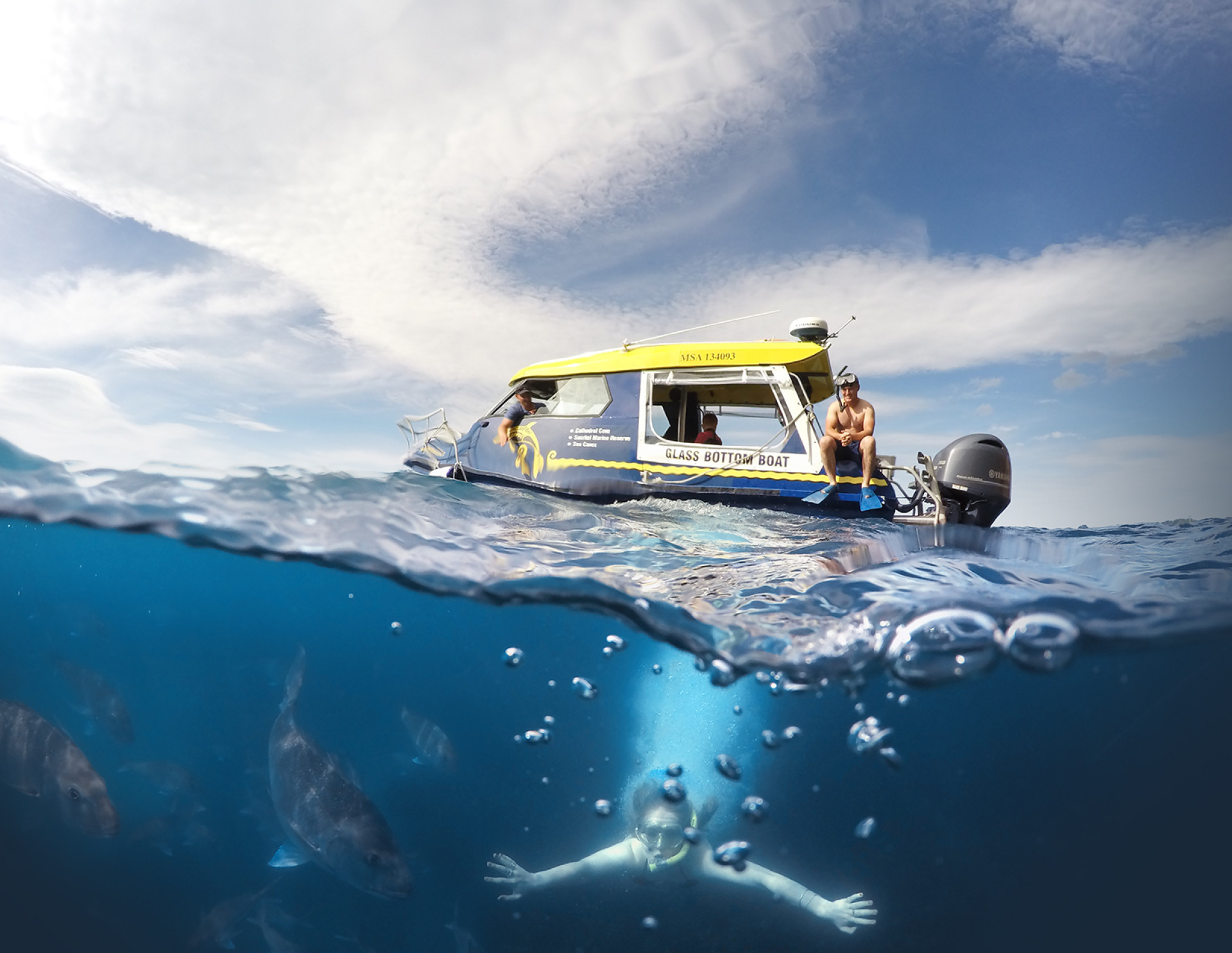 Glass Bottom Boat