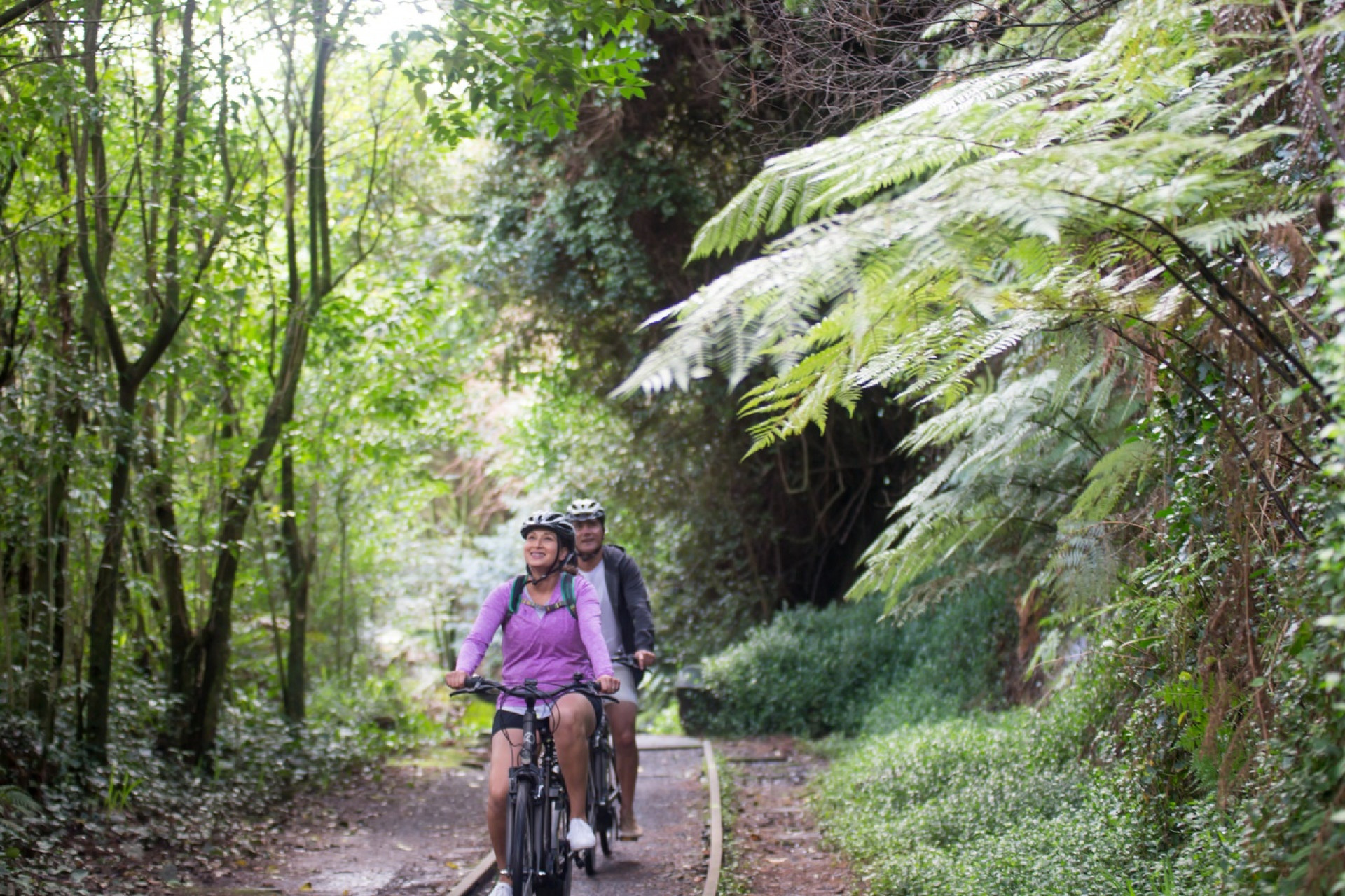 Hauraki Rail Trail 2018