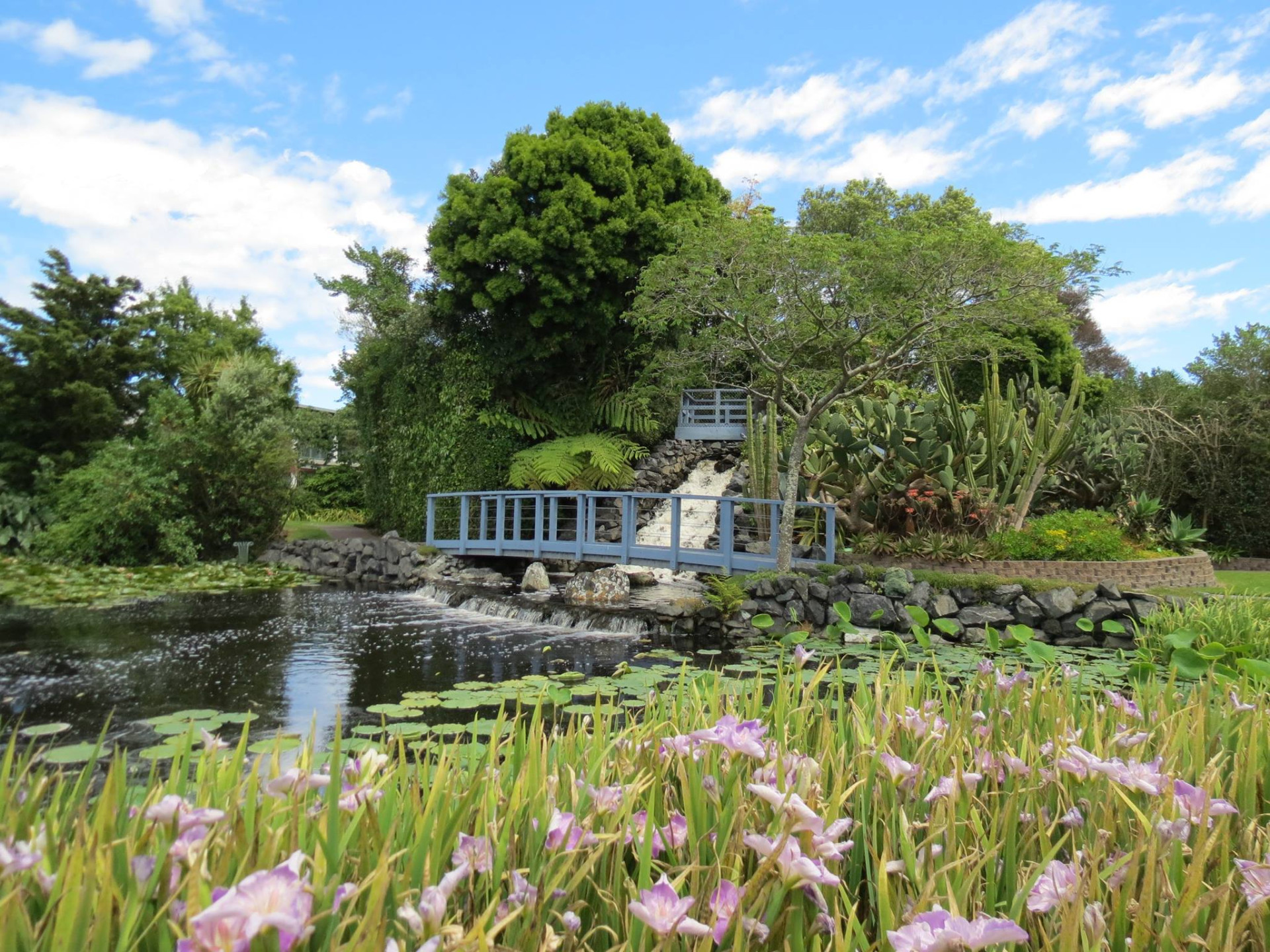 Ngatea Watergardens