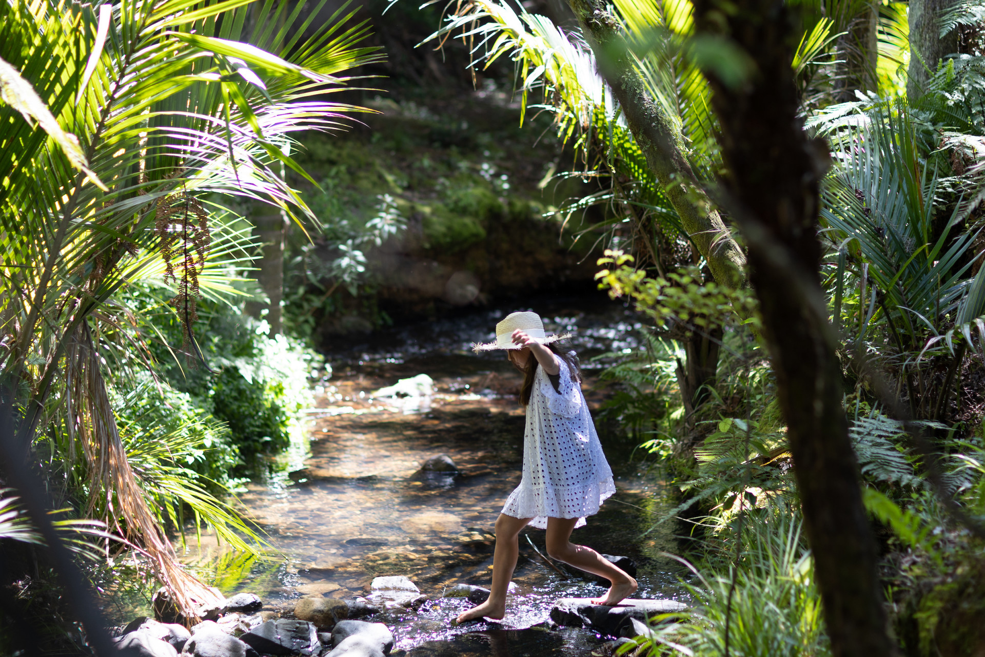 Waiau bush and stream