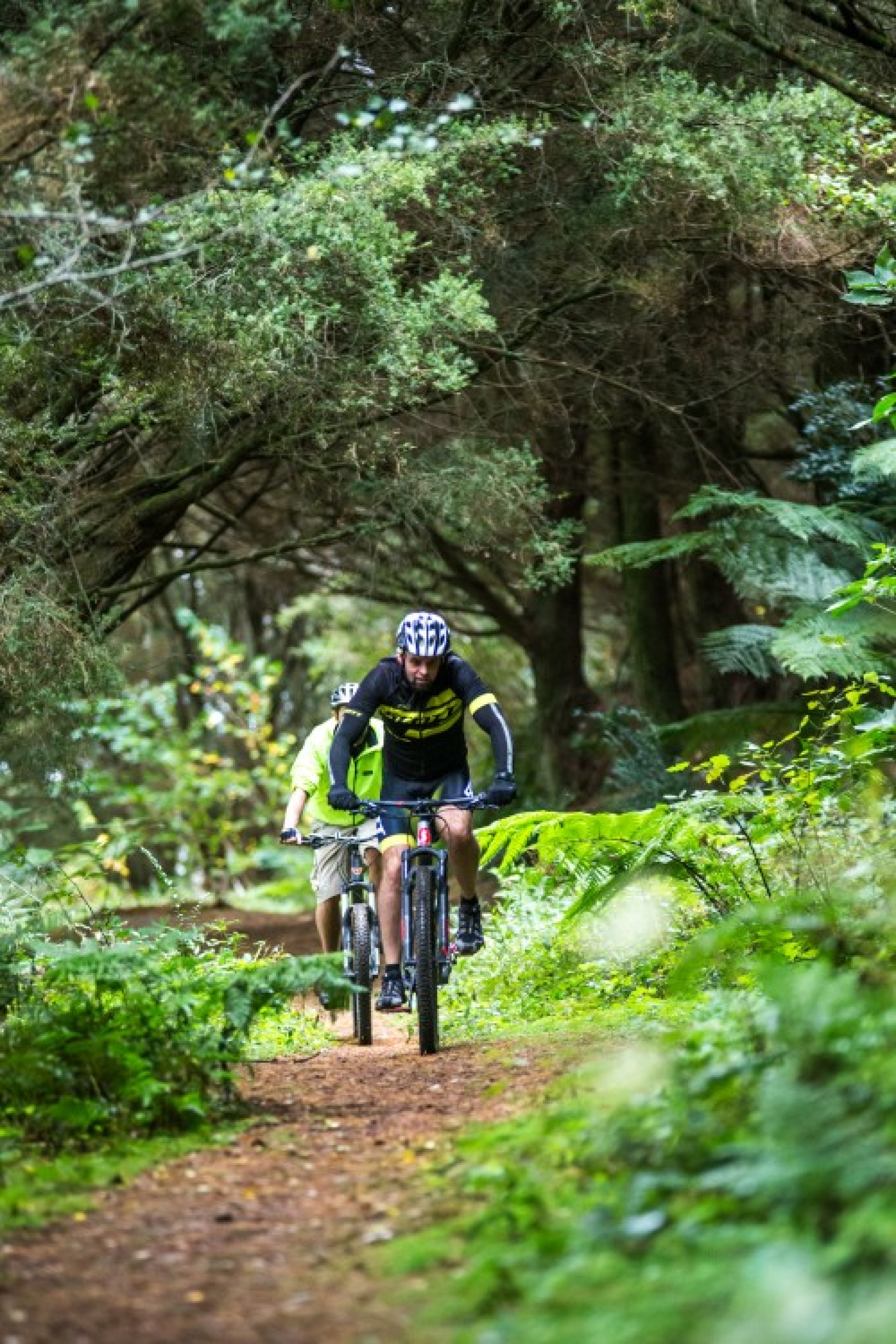 Waihi Mountain Bike Park