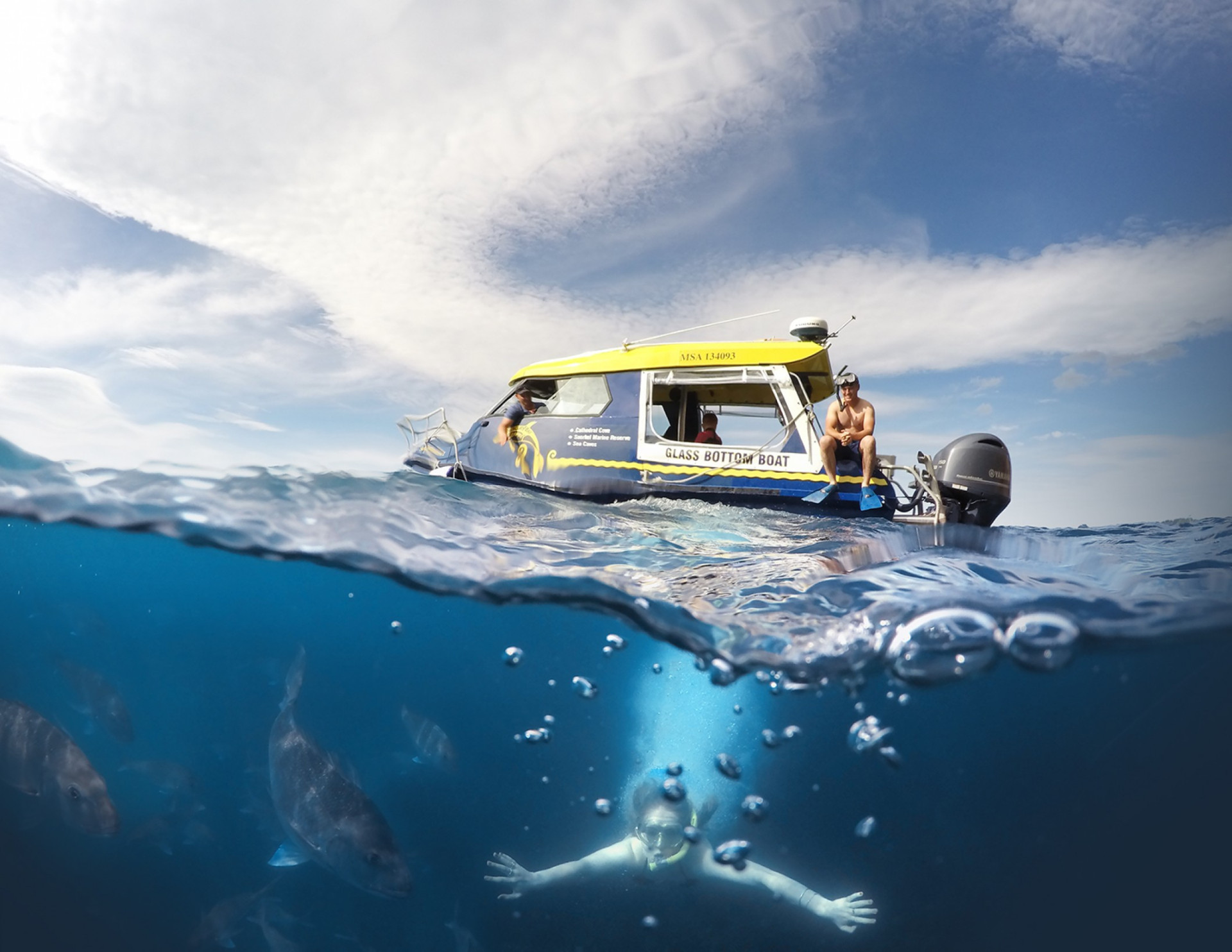Glass Bottom Boat under over 2018 ScaleWidthWzIxMjBd