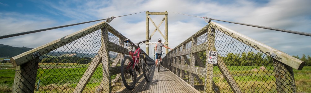Hauraki RailTrail2