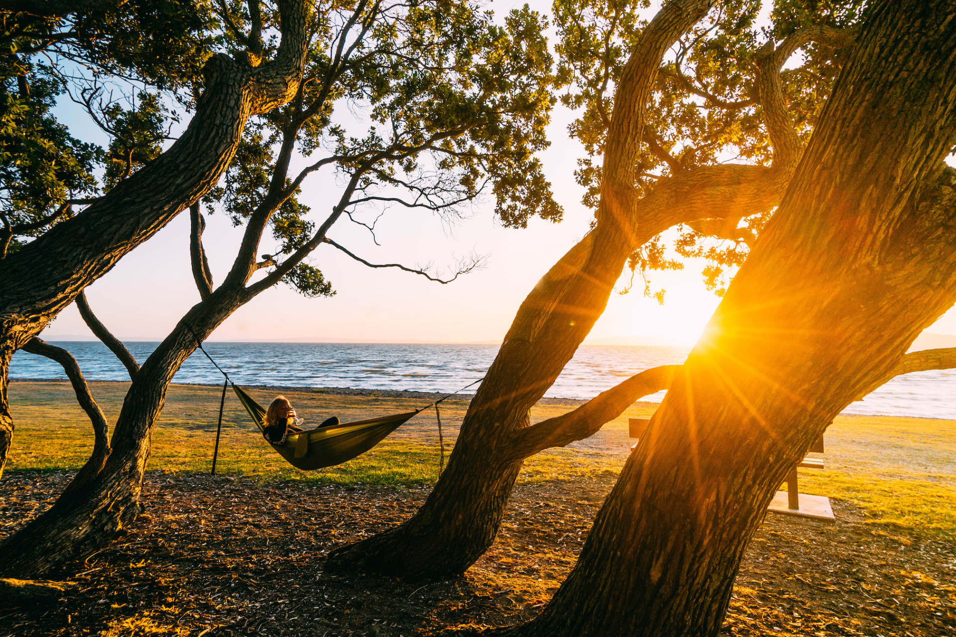 Logan Dodds Thames Coast Hammock
