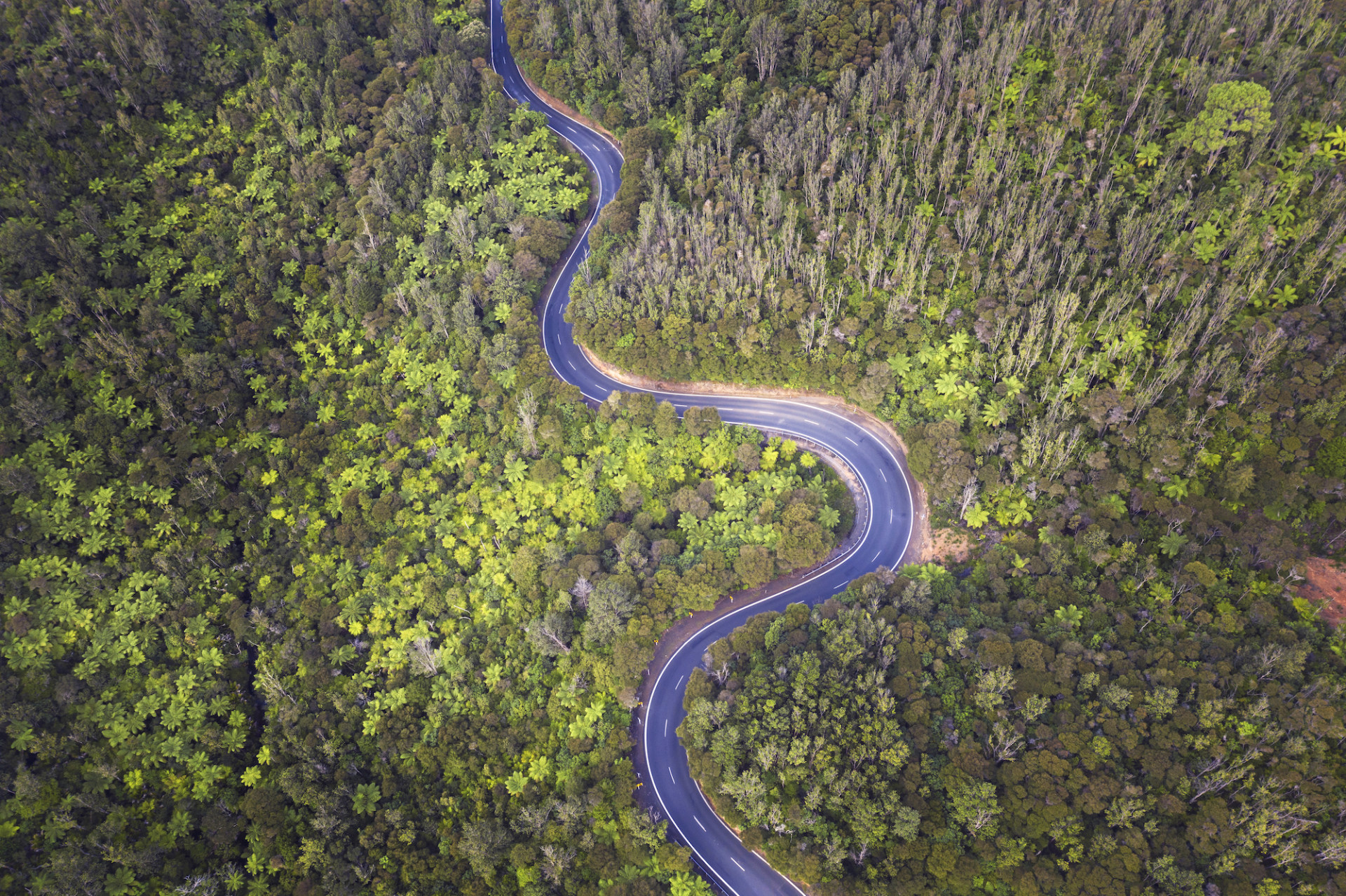 Windy Road